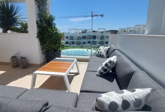 Re-Sale - Apartment - Torrevieja - Los Balcones