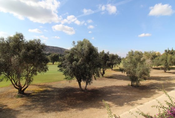 Re-Sale - Detached Villa - Algorfa