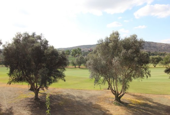 Re-Sale - Detached Villa - Algorfa