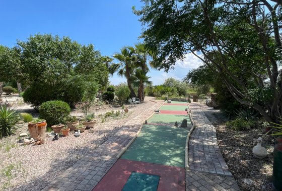 Re-Sale - Finca - Dolores