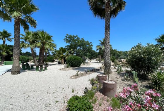 Re-Sale - Finca - Dolores