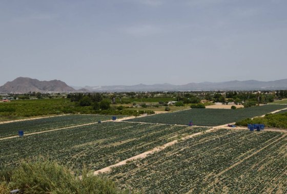 Re-Sale - Apartment - Algorfa