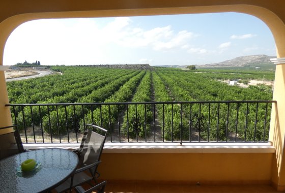 Re-Sale - Apartment - Algorfa