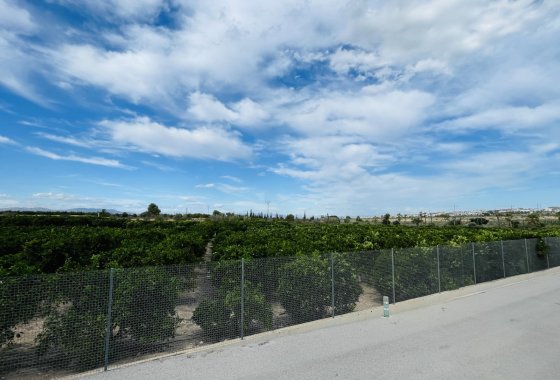 Re-Sale - Detached Villa - Algorfa