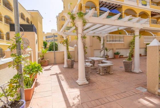 Reventa - Apartamento - Algorfa