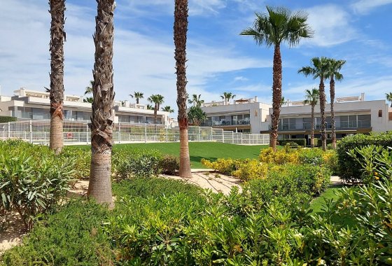 Re-Sale - Apartment - Orihuela - Vistabella Golf