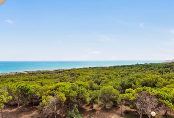 Reventa - Apartamento - Guardamar del Segura