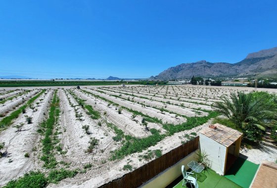 Reventa - Finca - Orihuela