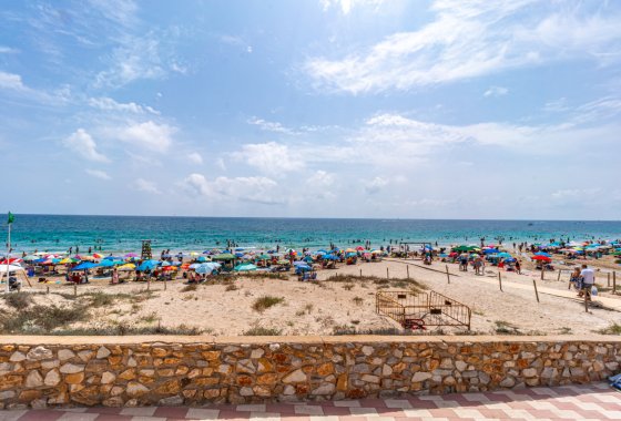 New Build - Detached Villa - La Zenia