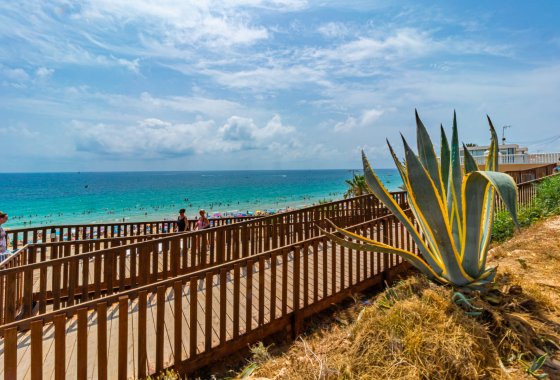 New Build - Detached Villa - La Zenia