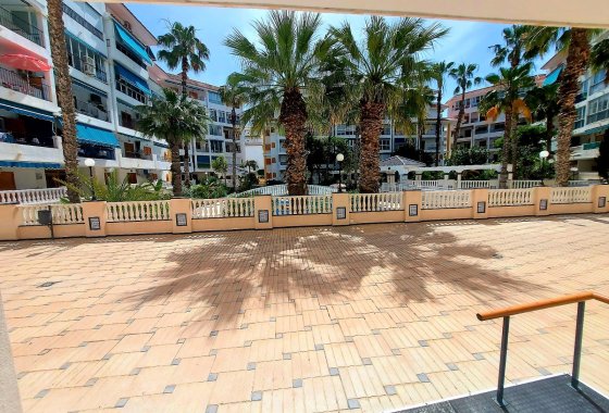 Reventa - Apartamento - Torrevieja - La Mata