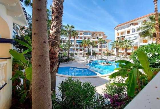 Reventa - Apartamento - Torrevieja - La Mata