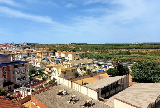 Reventa - Apartamento - Torrevieja - La Mata