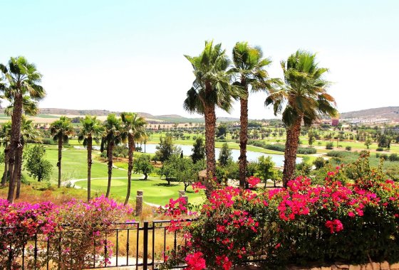 Reventa - Chalet Independiente - Algorfa