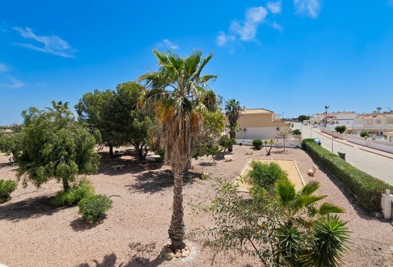 Reventa - Duplex - Benijofar