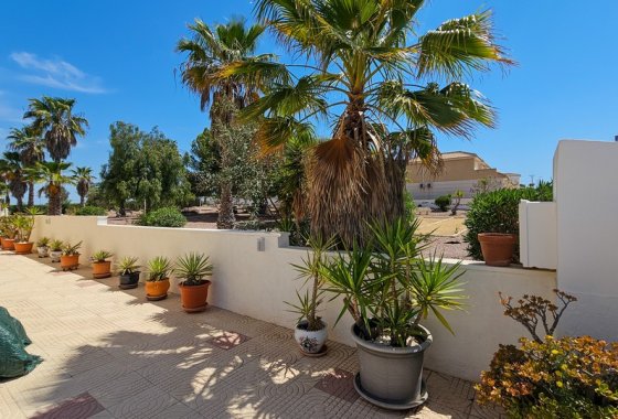 Reventa - Duplex - Benijofar