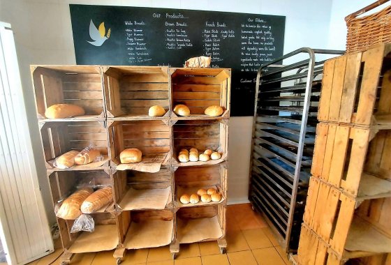 Reventa - Negocio - Rojales - Ciudad Quesada