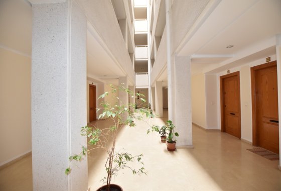 Reventa - Apartamento - Torrevieja - La Mata