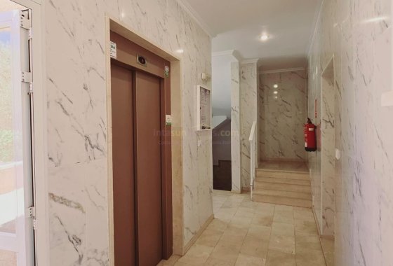 Reventa - Apartamento - Guardamar del Segura