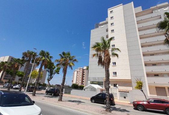 Re-Sale - Apartment - Guardamar del Segura