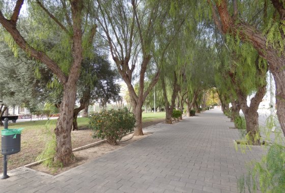 Re-Sale - Apartment - Benejúzar