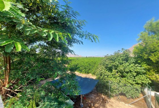 Reventa - Chalet Independiente - Orihuela