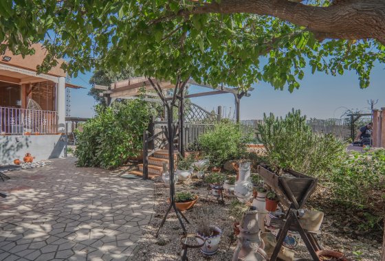 Reventa - Finca - Orihuela - San Bartolome