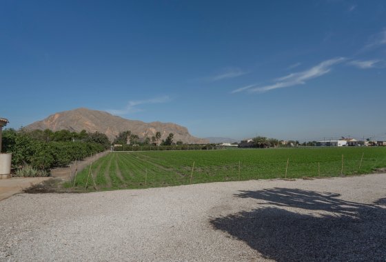 Reventa - Finca - Orihuela - San Bartolome