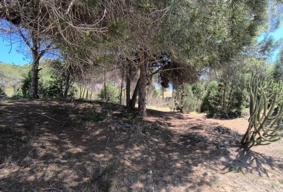 Re-Sale - Bungalow - Guardamar del Segura - Urbanizaciones