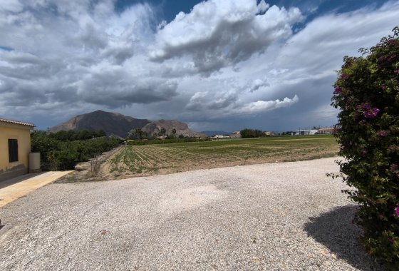 Reventa - Finca - Orihuela