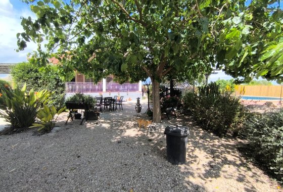 Reventa - Finca - Orihuela