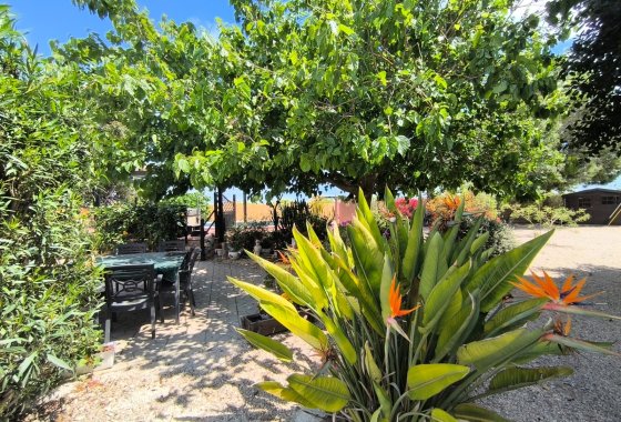 Reventa - Finca - Orihuela