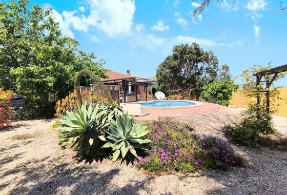 Reventa - Finca - Orihuela