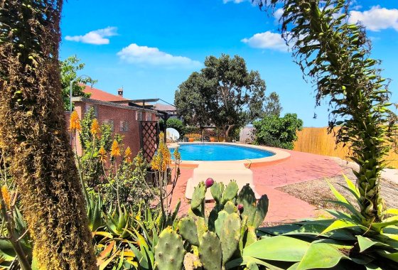 Reventa - Finca - Orihuela