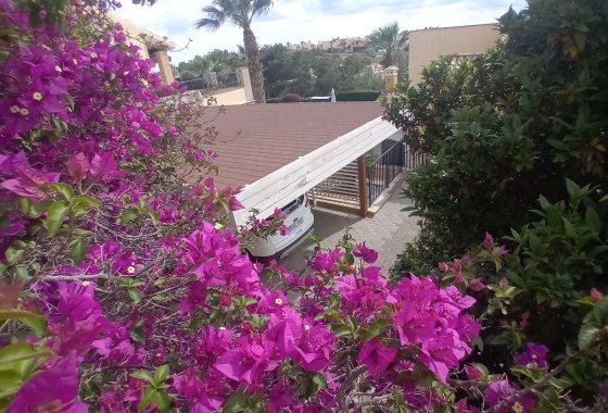 Reventa - Chalet Independiente - Algorfa