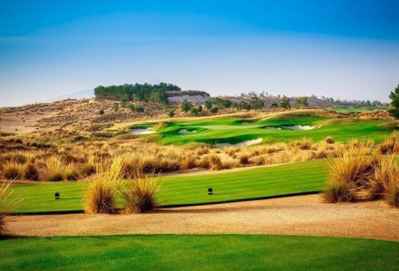 Nueva construcción  - Chalet Independiente - Alhama De Murcia - Condado De Alhama