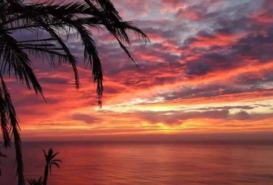 Nueva construcción  - Bungalow - Torrevieja - Altos del Sol