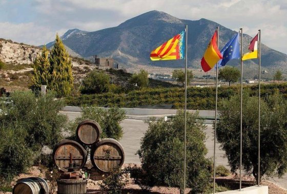 Nueva construcción  - Chalet Independiente - Pinoso - Lel