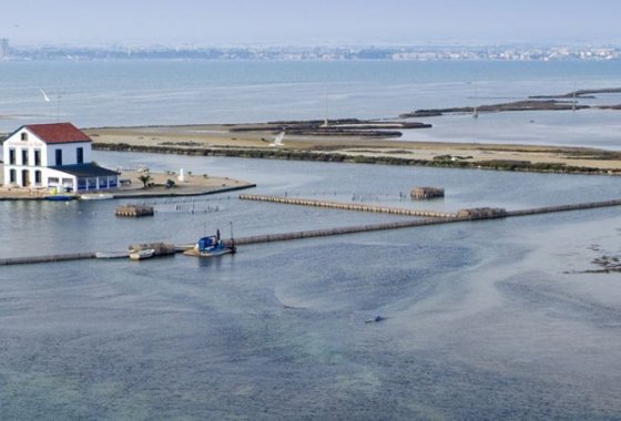 Nueva construcción  - Chalet Independiente - San Pedro del Pinatar - El Salero