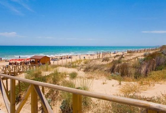 Nueva construcción  - Chalet Independiente - Benijofar