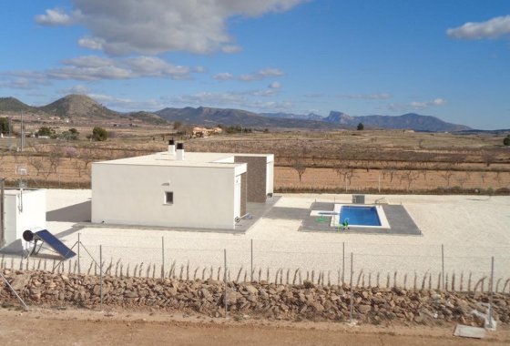 Nueva construcción  - Chalet Independiente - Pinoso - Camino Del Prado