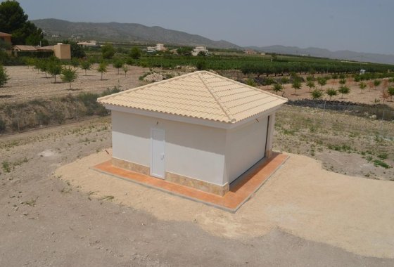 Nueva construcción  - Chalet Independiente - Pinoso - Camino Del Prado