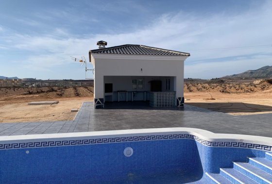 Nueva construcción  - Chalet Independiente - Pinoso - Camino Del Prado