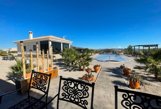 Nueva construcción  - Chalet Independiente - Pinoso - Camino Del Prado