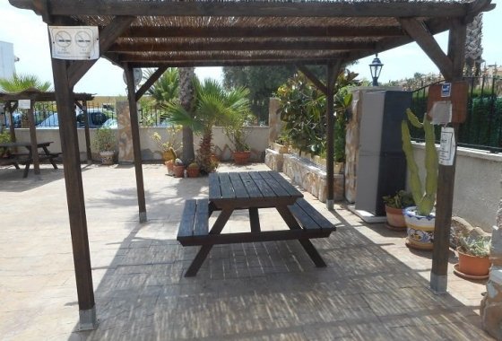 Re-Sale - Apartment - Algorfa