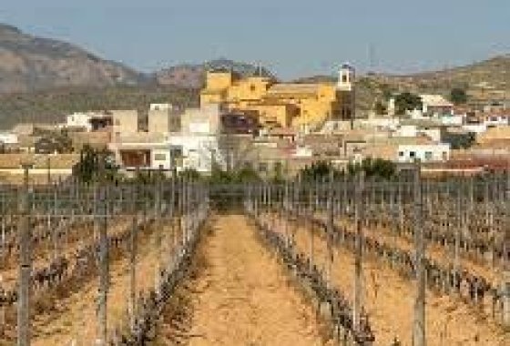 Nueva construcción  - Bungalow - Hondón de las Nieves - El Salero