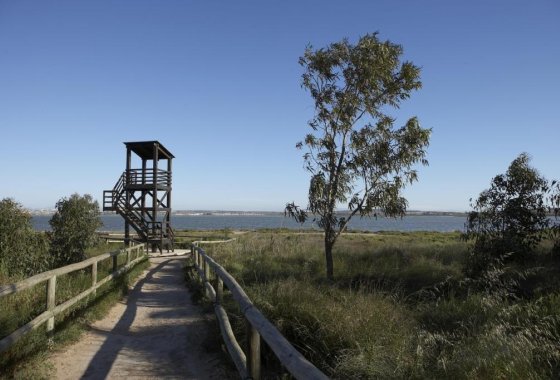 Nueva construcción  - Chalet Independiente - Torrevieja - Sector 25