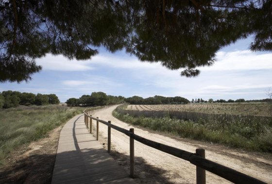 Nueva construcción  - Chalet Independiente - Torrevieja - Sector 25