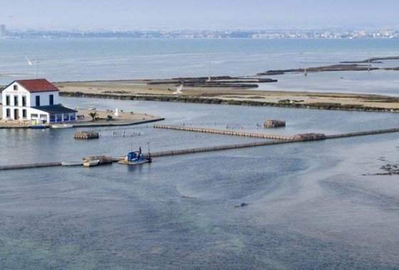 Nueva construcción  - Chalet Independiente - San Pedro del Pinatar - Las Esperanzas