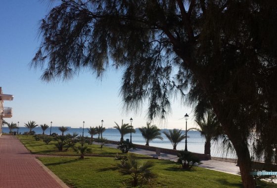 Nueva construcción  - Chalet Independiente - Los Alcazares - Serena Golf